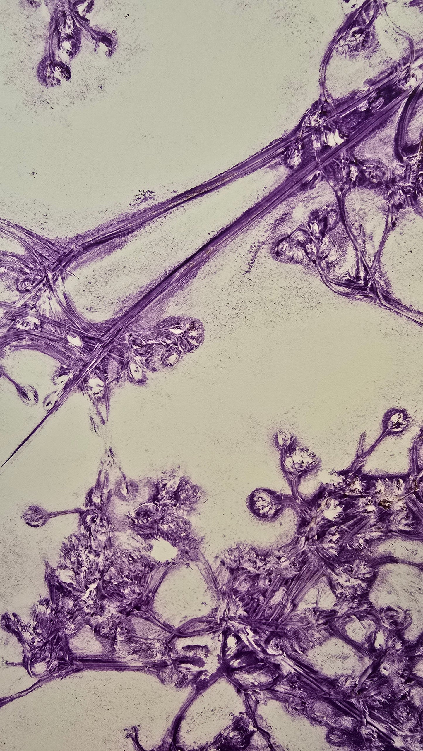 Botanische Gelprint Workshop vrijdagmiddag 29 mei