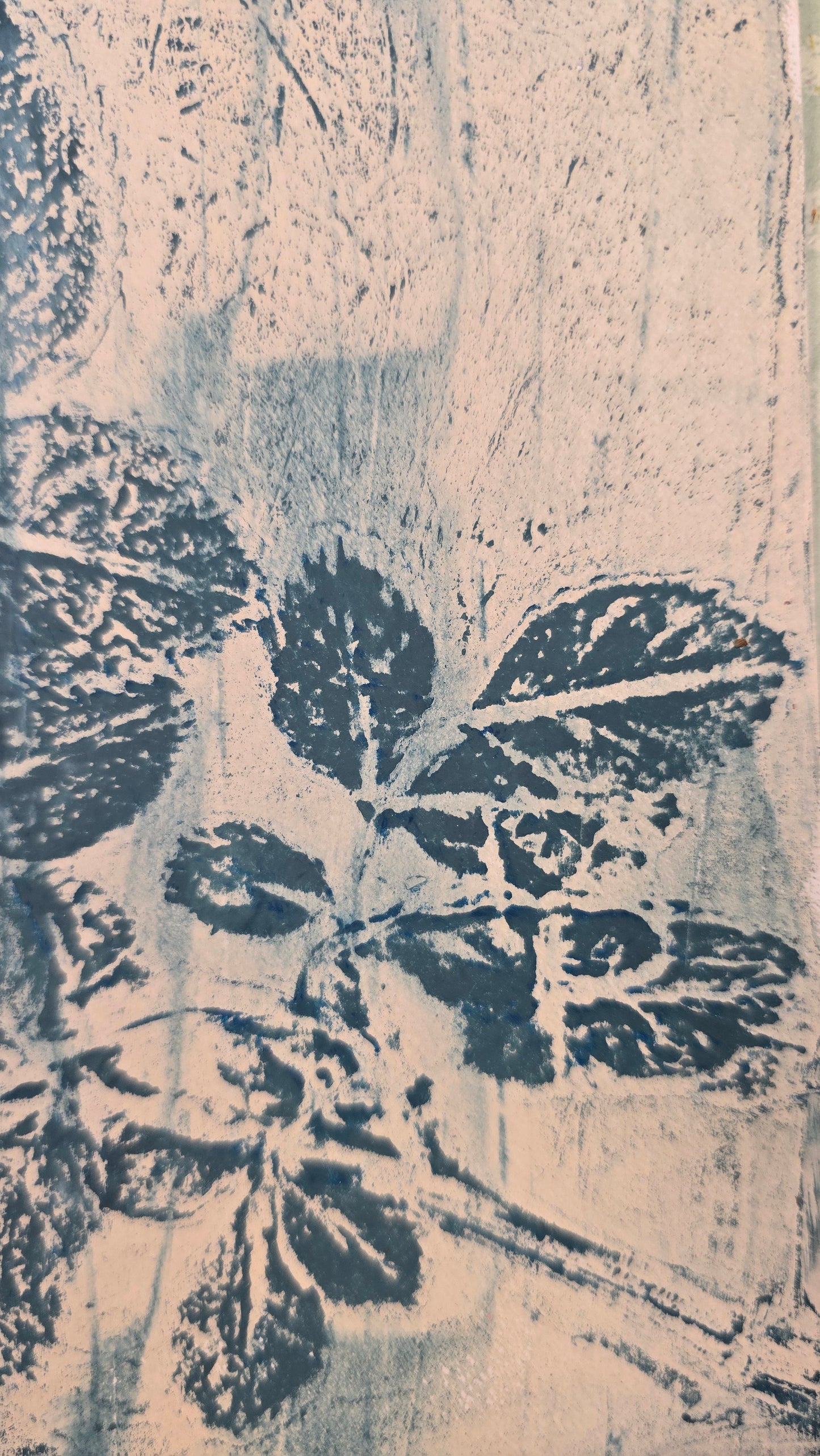 Botanische Gelprint Workshop vrijdagmiddag 29 mei